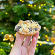 Mince Pie
